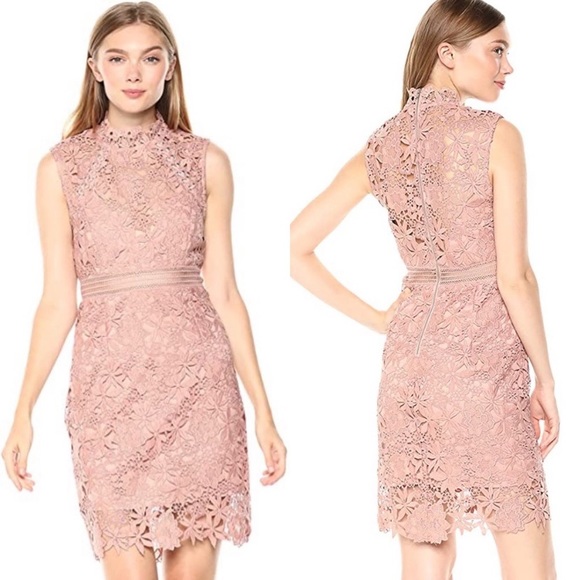 Bardot Dresses & Skirts - 🎉HOST PICK🎉 Bardot Paris Lace Dress (Bloom Pink) - Sz 4